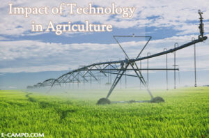 Use of Technology in Agriculture